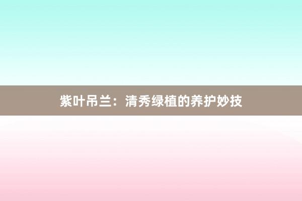紫叶吊兰：清秀绿植的养护妙技