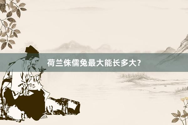 荷兰侏儒兔最大能长多大？