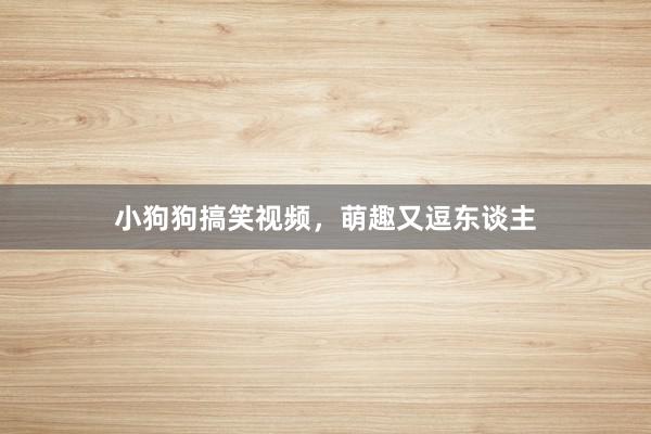 小狗狗搞笑视频，萌趣又逗东谈主