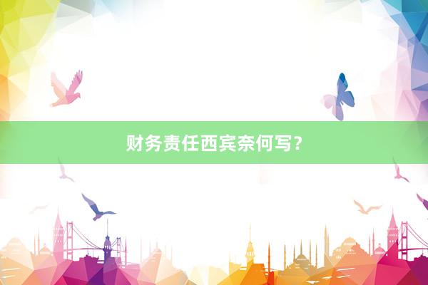 财务责任西宾奈何写？